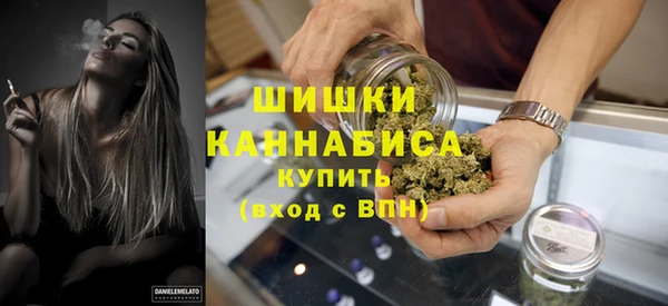 мдпв Липки