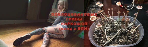 прущие крисы Лихославль