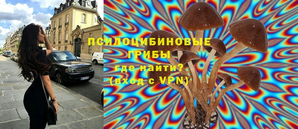 скорость Ладушкин
