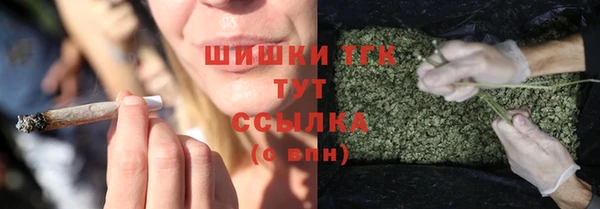 прущий лед Лагань