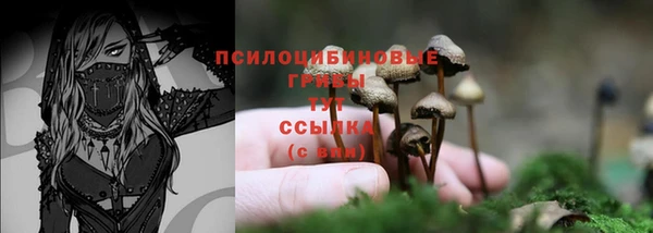 прущие крисы Лихославль