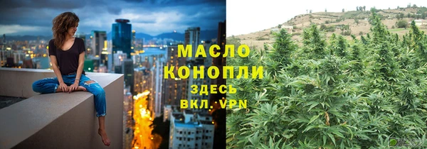 скорость Ладушкин