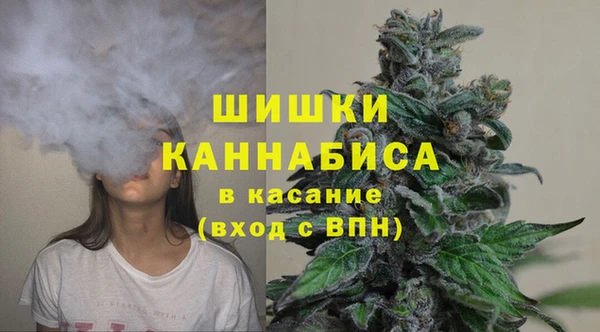 мдпв Липки