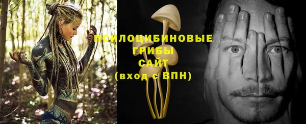 скорость Ладушкин