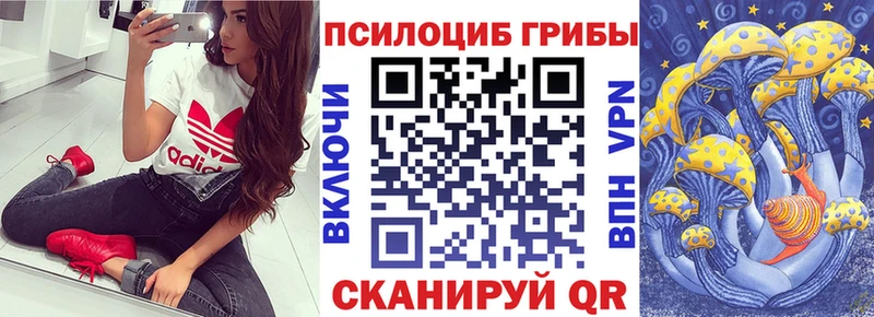Галлюциногенные грибы мицелий  Чухлома 